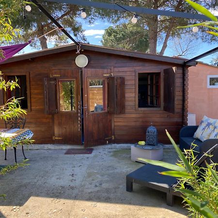 Chalet Des Oliviers 20Mn Des Plages Climatise Beziers Exterior photo