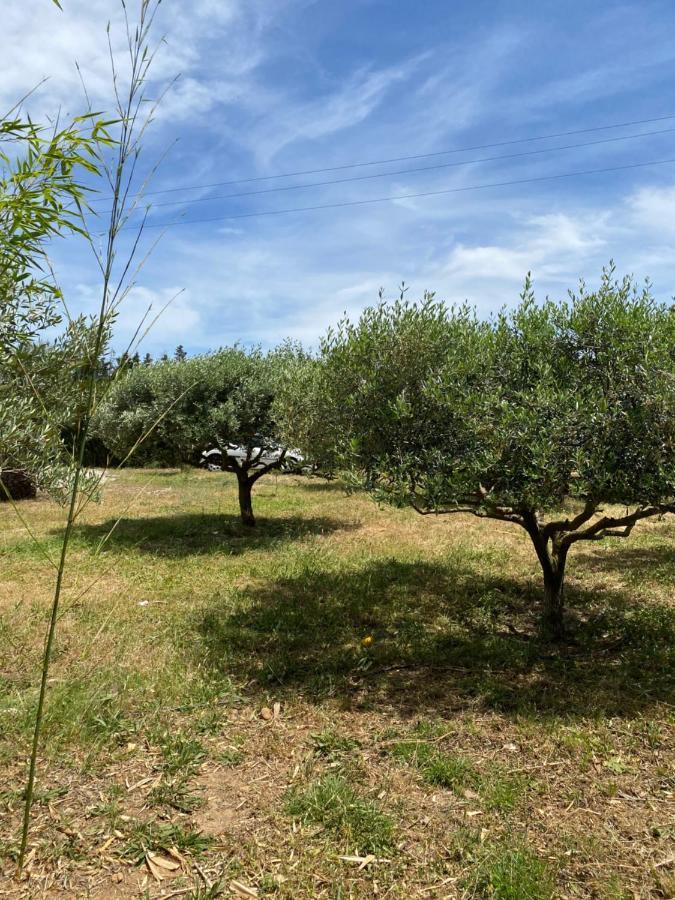 Chalet Des Oliviers 20Mn Des Plages Climatise Beziers Exterior photo
